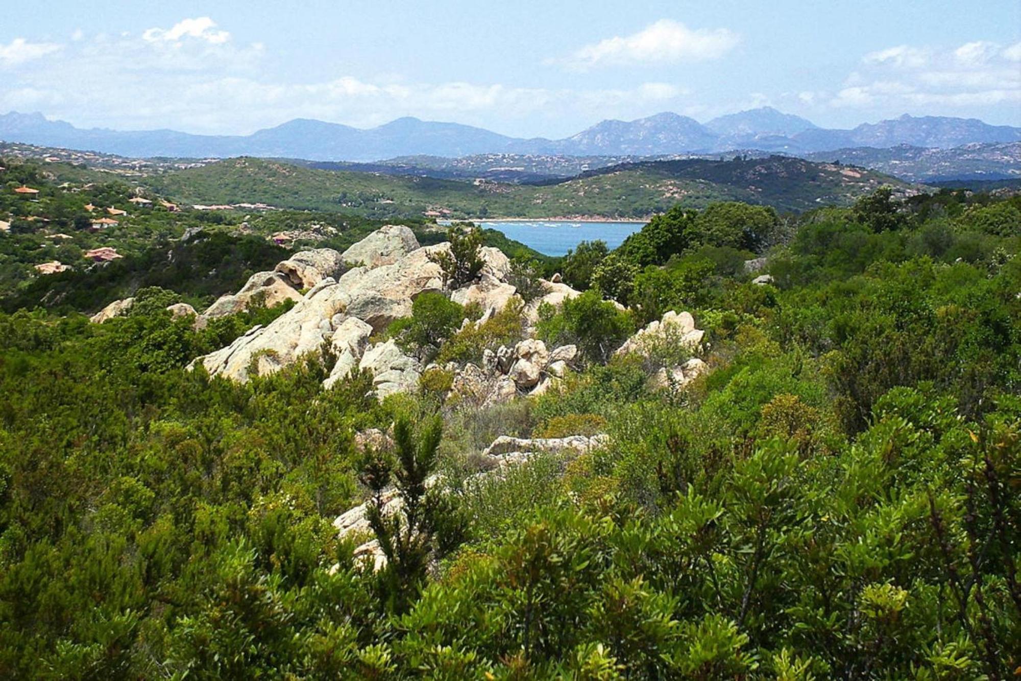 Residence La Tartaruga Monte Petruso San Teodoro Сан Теодоро Екстериор снимка